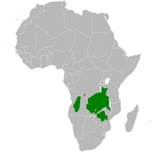 Parus griseiventris distribution map.png
