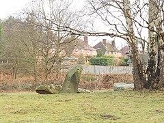 Addington Long Barrow, north side of road 04.jpg