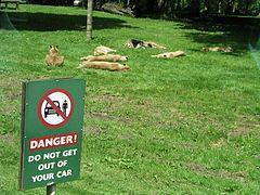 Good advice^ - geograph.org.uk - 256815.jpg
