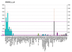 PBB GE GCH1 204224 s at fs.png