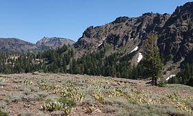 Ebbetts Pass 04 (4894171880).jpg