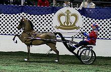 Free Willy Hackney Road Pony.jpg