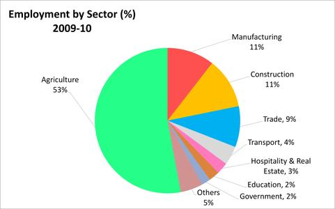 Pie-chart of employment by economic sector.