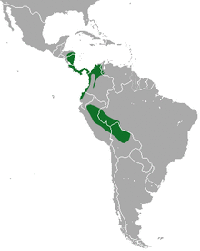 Hoffmann's Two-toed Sloth area.png
