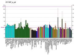 PBB GE GCK 211167 s at fs.png