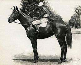 Uncle Sam 1914 VATC Caulfield Cup Jockey J E Ettershank Trainer M P Whitty.jpg