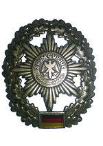 BW Barettabzeichen Feldjäger.png