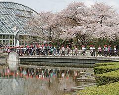 Kyoto Botanical Gardens (7183481544).jpg