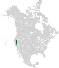 Sierra Nevada Forests map.svg