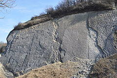 Wren's Nest - Dudley Beach - geograph.org.uk - 2323268.jpg