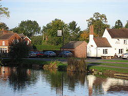 HanleySwan.jpg