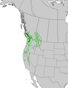 Pinus monticola range map 1.png