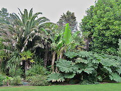 Penzance, Morrab Gardens 01.jpg