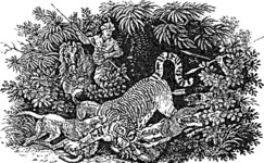 John & Thomas Bewick. Image from The Chase by William Somervile. 1802 07.png