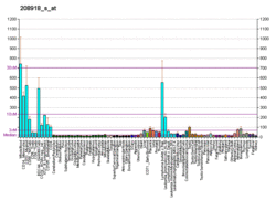 PBB GE NADK 208918 s at fs.png