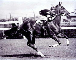 Phar Lap.jpg