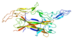 Protein NGFR PDB 1sg1.png