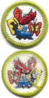 Collections merit badge, type H.png