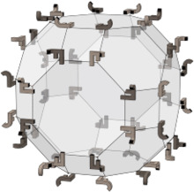 Full octahedral group elements in truncated cuboctahedron; JF.png