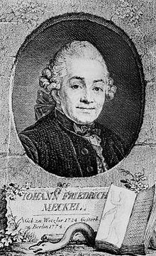 Johann Friedrich Meckel (1724–1774).jpg