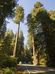 US 199 Redwood Highway.jpg