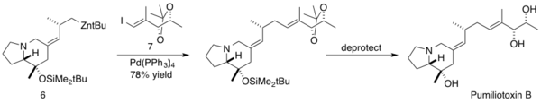 Synthesis of Pumiliotoxin B