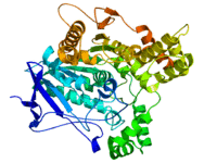 Acethylcholinesterase TC 1EA5.png