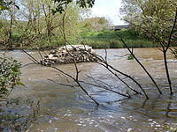 MediaevalNewBridge RiverTaw BishopsTawton Devon.JPG