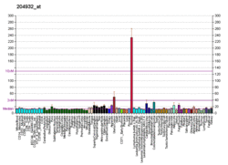 PBB GE TNFRSF11B 204932 at fs.png