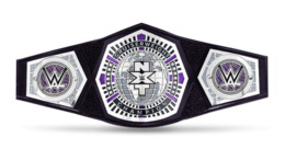 NXT CW Title.png