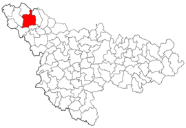 Location in Timiș County