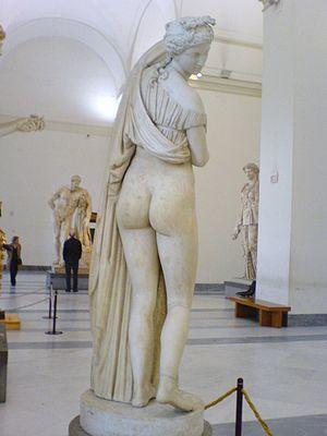 Venus kallipygos03.jpg