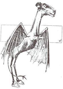 Jersey Devil Philadelphia Post 1909.jpg