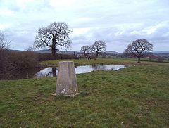 Trig. point at Ridley - geograph.org.uk - 151530.jpg
