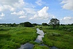 ଧନୁଆ ନଦୀ.jpg