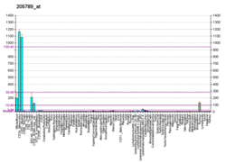 PBB GE CD1D 205789 at fs.png