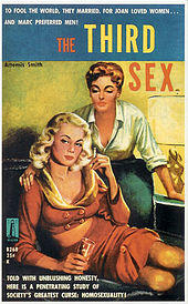 A brightly painted book cover with the title "The Third Sex", with a sultry blonde wearing a red outfit showing cleavage and midriff seated on a sofa, while a redhead with short hair places her hand on the blonde's shoulder and leans over her, also displaying cleavage wearing a white blouse with rolled-up sleeves.