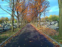 Saint-Ouen-Avenue-Transversale.jpg