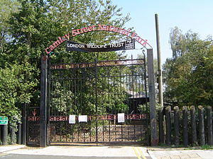 Camley Street Natural Park.jpg
