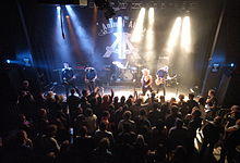 Animal Alpha concert at Rokken in 2008