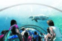 Polar Bear at DZ.jpg