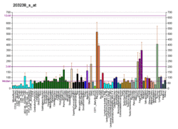 PBB GE NOTCH3 203238 s at fs.png