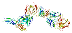 Protein F3 PDB 1ahw.png