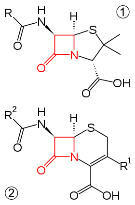 Beta-lactam antibiotics example 1.svg