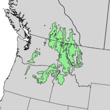 Larix occidentalis range map 4.png