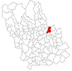 Location in Prahova County