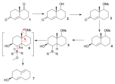 Scheme 2. Grob-like fragmentation