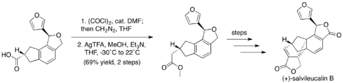 Arndt-Eistert homologation in synthesis of (+)-salvileucalin B