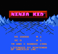 Ninja Kid