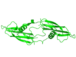 Artemin Tertiary Structure.png
